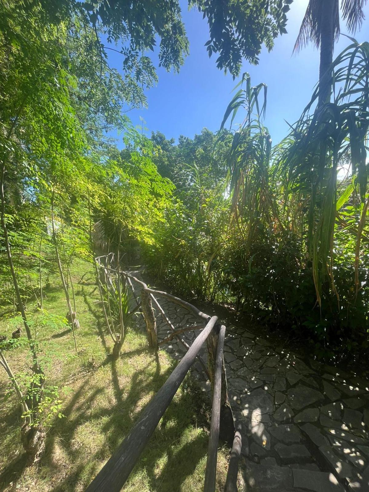 Ecolodge Tubagua Puerto Plata Exteriör bild