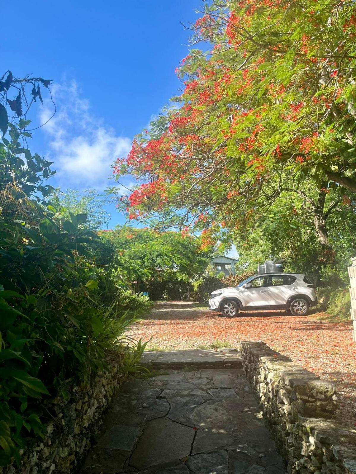 Ecolodge Tubagua Puerto Plata Exteriör bild