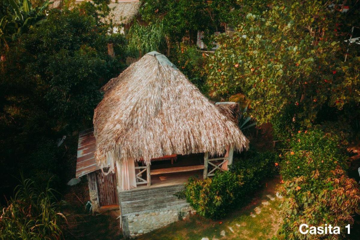 Ecolodge Tubagua Puerto Plata Exteriör bild