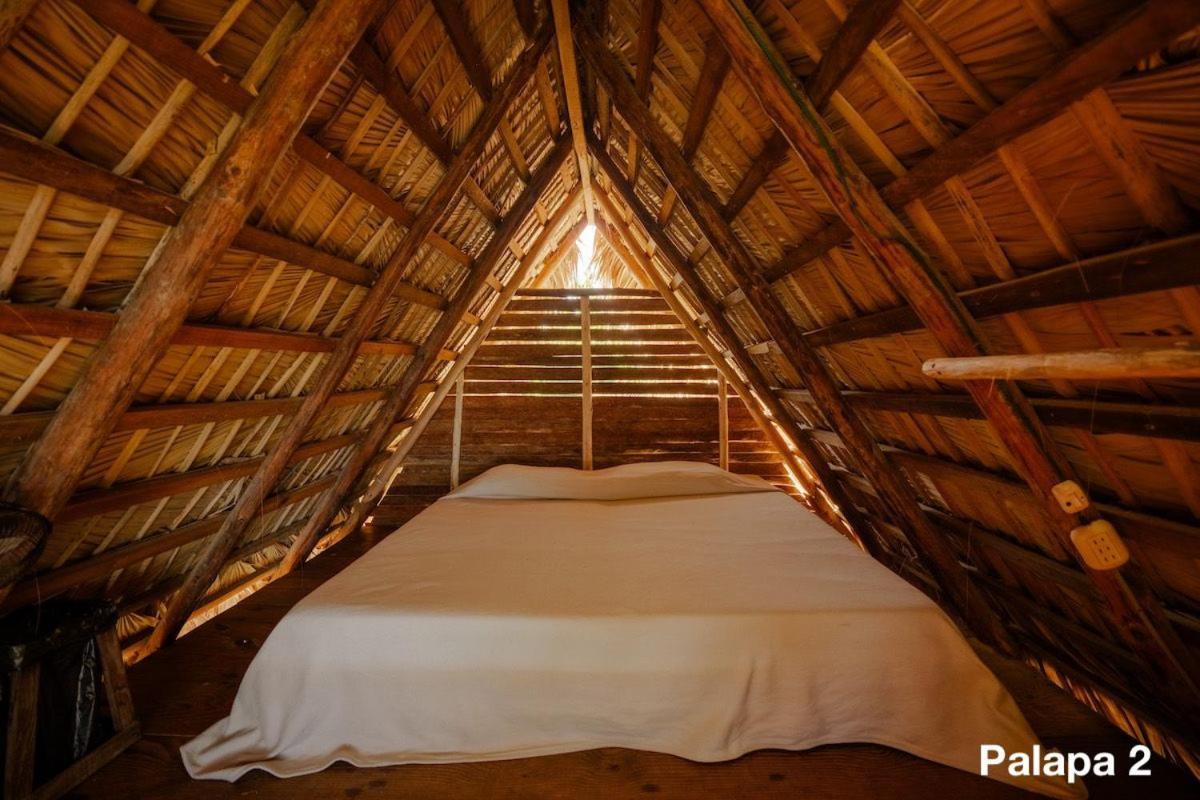 Ecolodge Tubagua Puerto Plata Exteriör bild