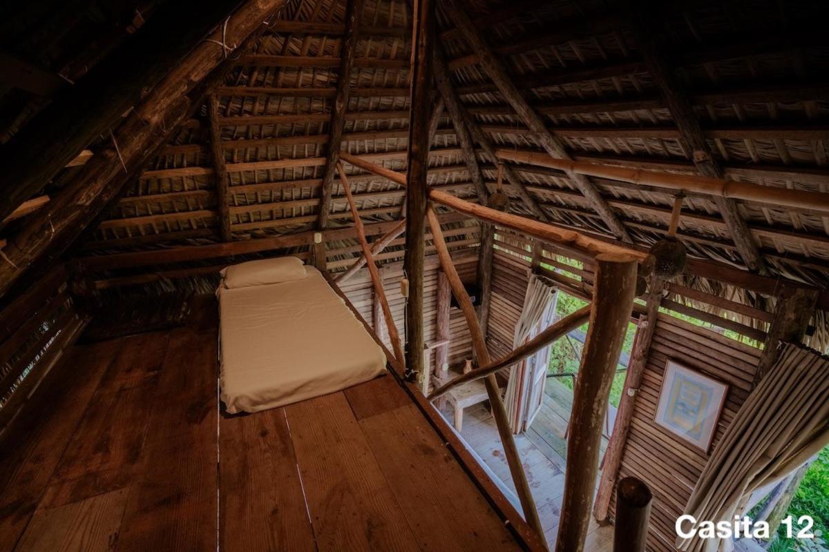 Ecolodge Tubagua Puerto Plata Exteriör bild