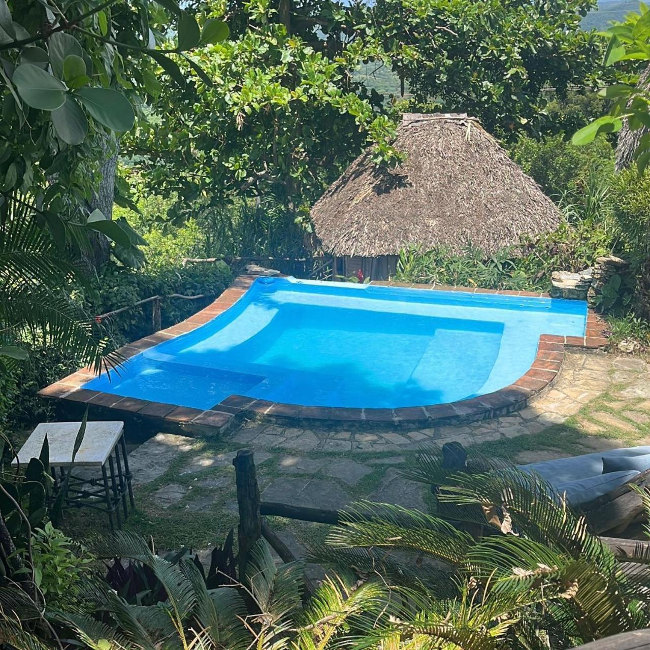 Ecolodge Tubagua Puerto Plata Exteriör bild